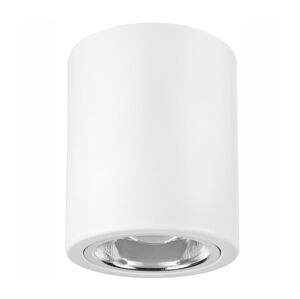 LED Bodové svítidlo TACO 1xE27/15W/230V bílá