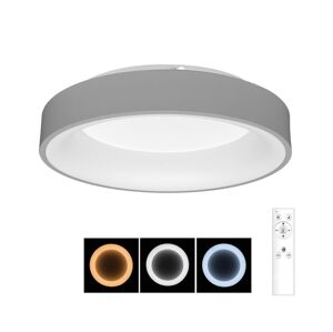 BRILAGI Brilagi - LED Stmívatelné stropní svítidlo LED/40W/230V 3000-6500K šedá + DO