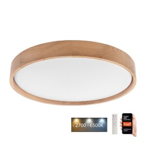 BRILAGI Brilagi - LED Stropní svítidlo MANAROLA SMART LED/36W/230V + DO Tuya