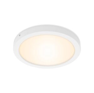 Briloner Briloner 7141-016 - LED Stropní svítidlo FIRE LED/21W/230V