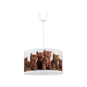 - Dětský lustr na lanku CATS 1xE27/40W/230V pr. 35 cm