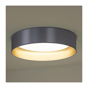 - LED Stropní svítidlo ROLLER LED/24W/230V stříbrná/zlatá
