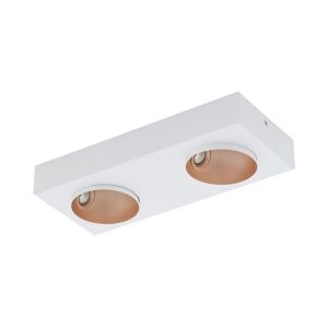 Eglo Eglo 39374 - LED Stmívatelné stropní svítidlo RONZANO 2xLED/3,3W/230V