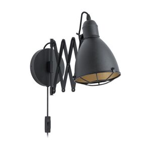 Eglo Eglo 43184 - Nástěnné svítidlo TREBURLEY 1xE27/28W/230V