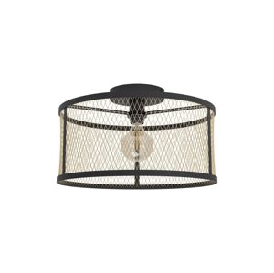 Eglo 43603 - Přisazený lustr DELLOW 1xE27/40W/230V 43603