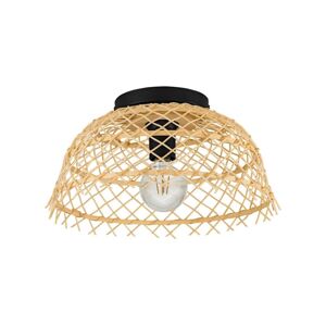 Eglo 43831 - Stropní svítidlo AUSNBY 1xE27/40W/230V 43831
