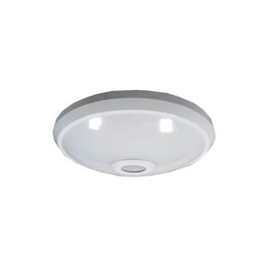 - LED Stropní svítidlo se senzorem LED/12W/230V