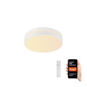 Neo  NEO 07153-W40 - LED Stmívatelné svítidlo PERFECTO 24W/230V Wi-Fi Tuya + DO