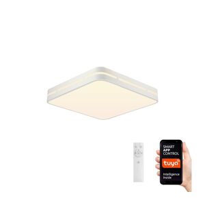 Neo  NEO 07155-W30 - LED Stmívatelné svítidlo PERFECTO 24W/230V Wi-Fi Tuya + DO