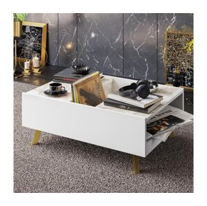 Konferenční stolek FRIDA 63x90 cm bílá/zlatá