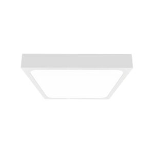 LED Koupelnové stropní svítidlo LED/18W/230V 6500K IP44 bílá