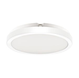LED Koupelnové stropní svítidlo VERA LED/24W/230V 4000K IP65 bílá