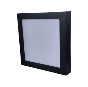 Greenlux LED Stropní svítidlo FENIX LED/12W/230V 3800K