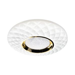 LED Stmívatelné stropní svítidlo TOKYO LED/48W/230V 3000-6000K + DO