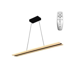 LED Stmívatelný lustr na lanku LED/40W/230V 3000-6500K černá + dálkové ovládání