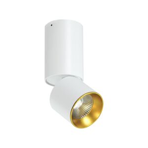 LED Stropní bodové svítidlo LED/10W/230V