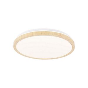 LED Stropní svítidlo GANDAVA LED/24W/230V