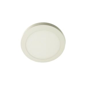 LED Stropní svítidlo GERRIT LED/24W/230V 6500K bílá
