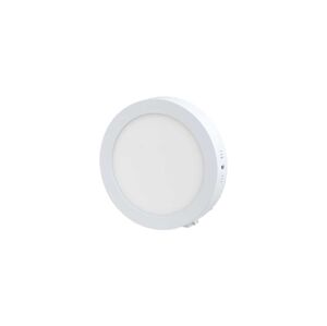 LED Stropní svítidlo LED/12W/230V