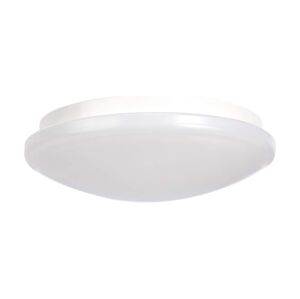 LED Stropní svítidlo LED/20W/230V