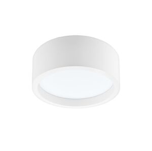 LED Stropní svítidlo LED/21W/230V