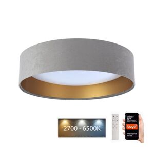 LED Stropní svítidlo SMART GALAXY LED/24W/230V Wi-Fi Tuya šedá/zlatá + DO