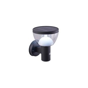 Greenlux LED Venkovní solární nástěnné svítidlo se senzorem LARIX LED/3W/3,7V IP44