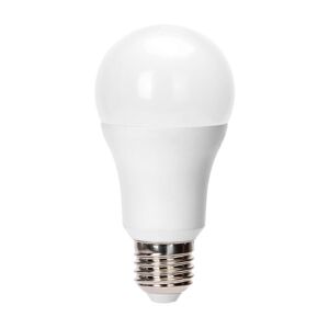 B.V. LED Žárovka A60 E27/24W/230V 6500K -