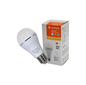 Ledvance LED Žárovka A60 E27/8W/230V 6500K - Ledvance