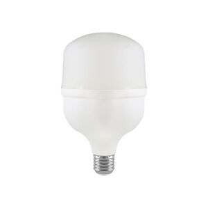 LED Žárovka T100 E27/30W/230V 6500K