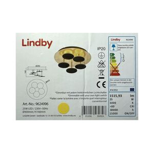 Lindby Lindby - LED Stmívatelné stropní svítidlo CASNI 5xLED/5W/230V