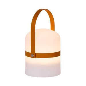Lucide Lucide 06802/01/43 - LED Venkovní stmívatelná lampa LITTLE JOE LED/3W/230V IP44