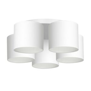 Lustr přisazený ARDEN 5xE27/60W/230V bílá