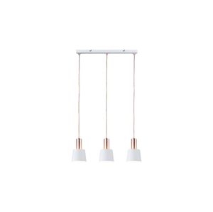 Paulmann Paulmann 79657 - 3xE14/20W Lustr na lanku NEORDIC HALDAR 230V
