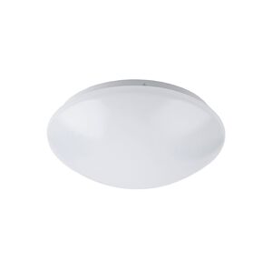 Rabalux Rabalux 3439 - LED koupelnové stropní svítidlo LUCAS LED/24W/230V