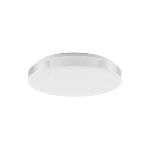 Rabalux Rabalux 71085 - LED Stropní svítidlo DANUTA LED/24W/230V 4000K pr. 39 cm