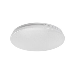 Rabalux Rabalux 71104 - LED Stropní svítidlo VENDEL LED/12W/230V 4000K 25 cm