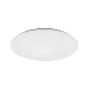 Rabalux Rabalux 71124 - LED Stropní svítidlo RORIK LED/24W/230V 4000K 38 cm