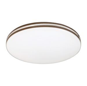 Rabalux Rabalux 71173 - LED Stropní svítidlo OSCAR LED/18W/230V 4000K pr. 34 cm