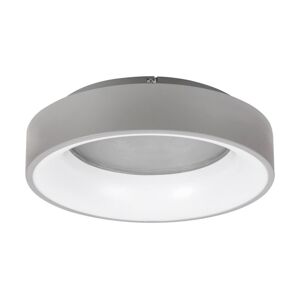 Rabalux Rabalux - LED Stmívatelné stropní svítidlo LED/24W/230V kulatý 3000-6000K + DO