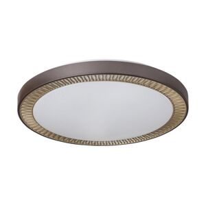 Rabalux Rabalux - LED Stmívatelné stropní svítidlo LED/40W/230V + DO 3000-6000K