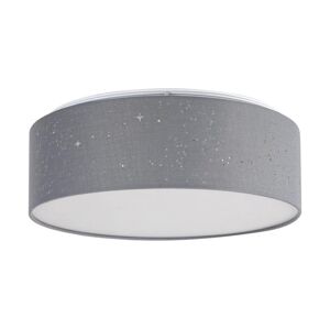 Rabalux Rabalux - LED Stropní svítidlo LED/22W/230V šedá