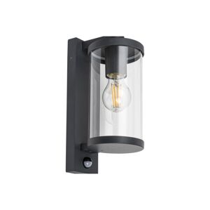 Rabalux Rabalux - Venkovní nástěnné svítidlo se senzorem 1xE27/60W/230V IP44