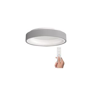 WO768-G - LED Stmívatelné stropní svítidlo TREVISO LED/48W/230V + DO