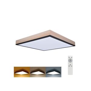 WO802 - LED Stmívatelné stropní svítidlo LED/40W/230V 3000-6500K + DO