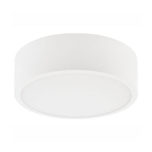 Stropní svítidlo DANTE 1xE27/60W/230V pr. 26 cm bílá