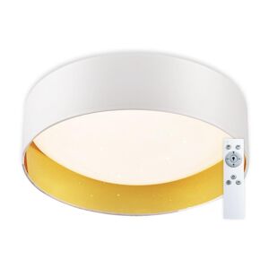 TOP LIGHT Top Light - LED Stmívatelné stropní svítidlo LED/24W/230V +dálkové ovládání bílá